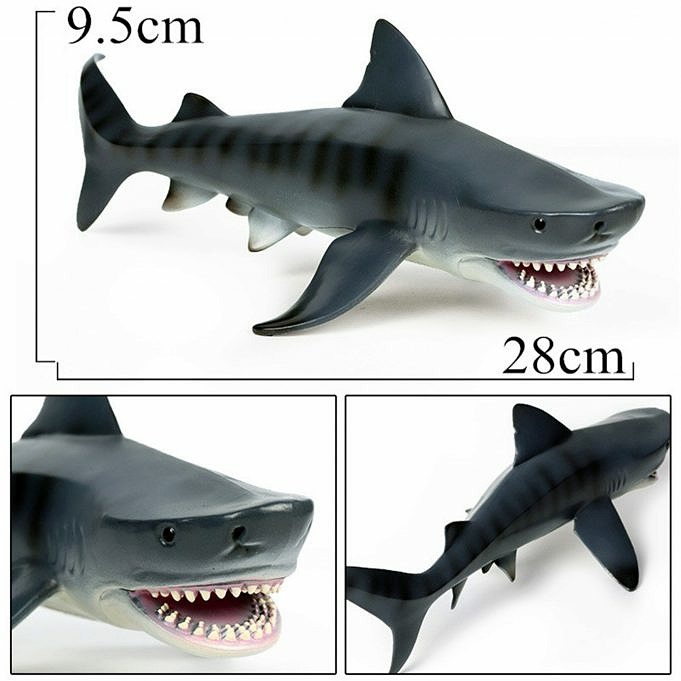 Comparación De Modelos De Cohetes De Tiburón