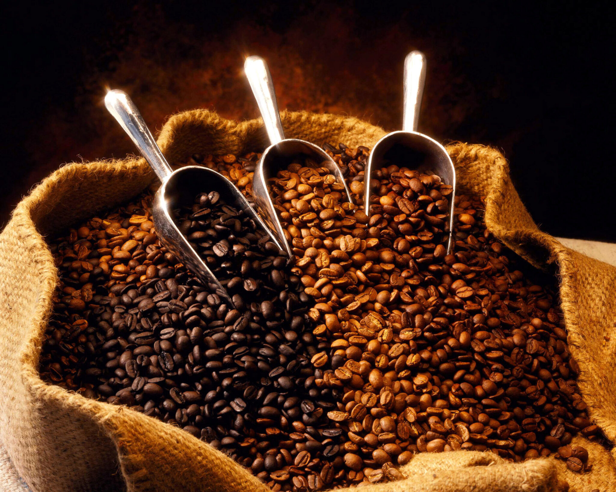 Las 6 Mejores Marcas De Cafe De Kenia 2021 Resenas Y Mejores Selecciones