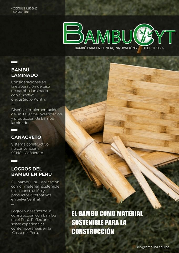 Las Ventajas Y Desventajas De Los Pisos De Bambu